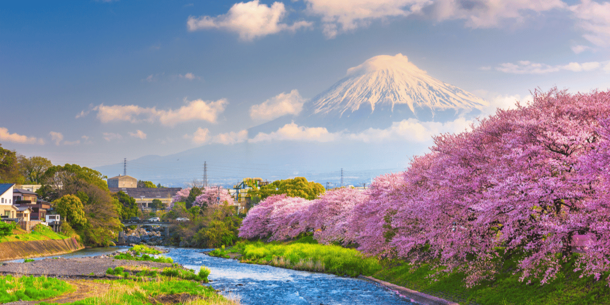 Best time to visit Japan